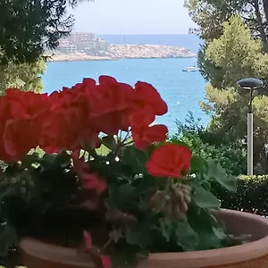 https://beach-flowers.catalonia-hotels.com